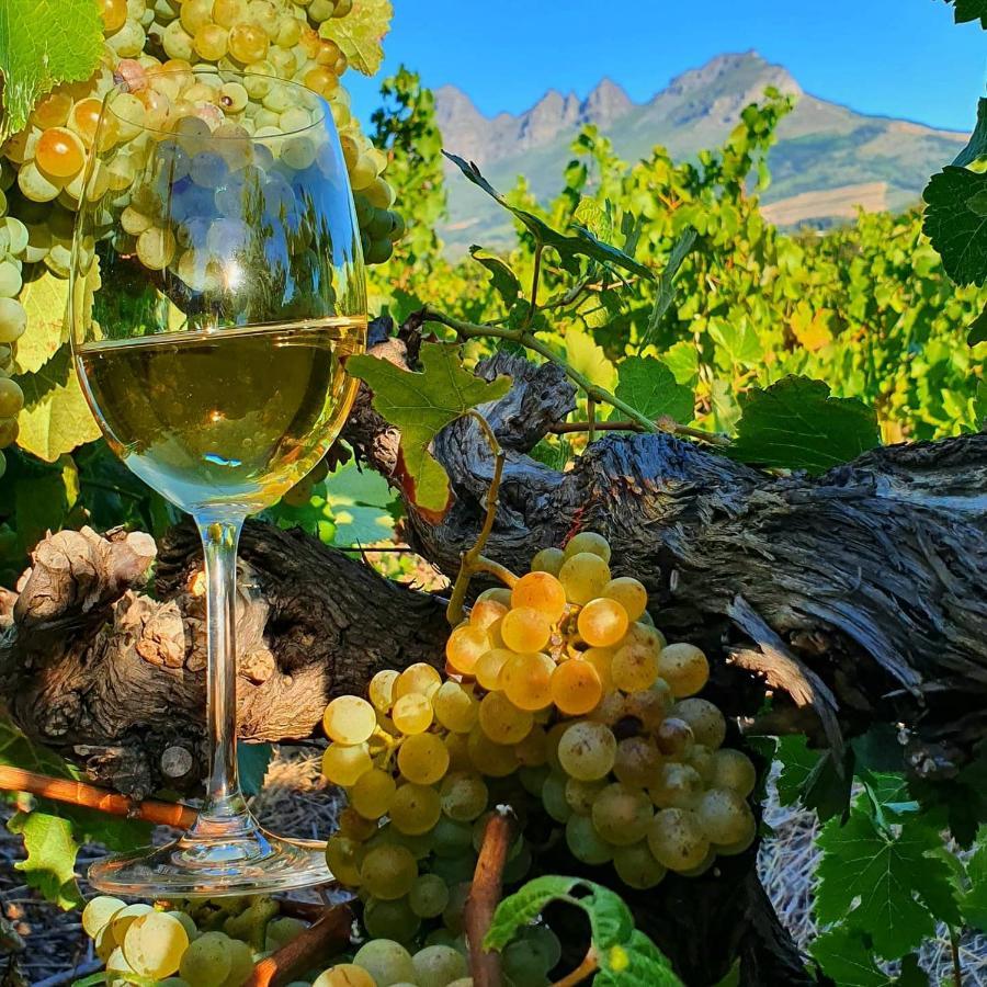 Raithby Winelands Historical Cottage Екстериор снимка
